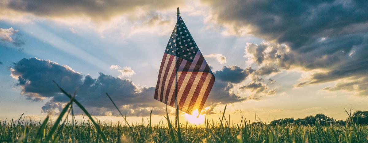 An American flag stuck in a green grassy area with a cloudy sky 